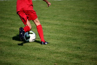 爱游戏体育客户端-中国足球职业俱乐部推动管理层岗位轮训制度，职业足球俱乐部训练计划